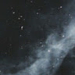 Meet your Posher, Tia